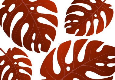 Beyaz arka planda tropik bir canavar bitkisinin büyük yeşil yaprakları. Tasarımınız için vektör illüstrasyonu.