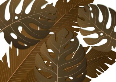 Tropik egzotik muz yaprakları ve beyaz arka planda canavar. İnanılmaz bir yaprak deseni. Botanik klasik illüstrasyon. Duvar kağıtları, web sayfası arkaplanları, yüzey dokuları, tekstil için ideal.