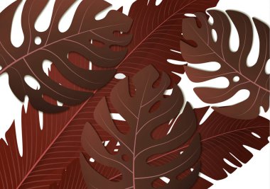 Tropik egzotik muz yaprakları ve beyaz arka planda canavar. İnanılmaz bir yaprak deseni. Botanik klasik illüstrasyon. Duvar kağıtları, web sayfası arkaplanları, yüzey dokuları, tekstil için ideal.