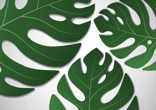 Крупные Зеленые Листья Растения Монстра Светлом Фоне Векторная Иллюстрация Вашего — стоковый вектор