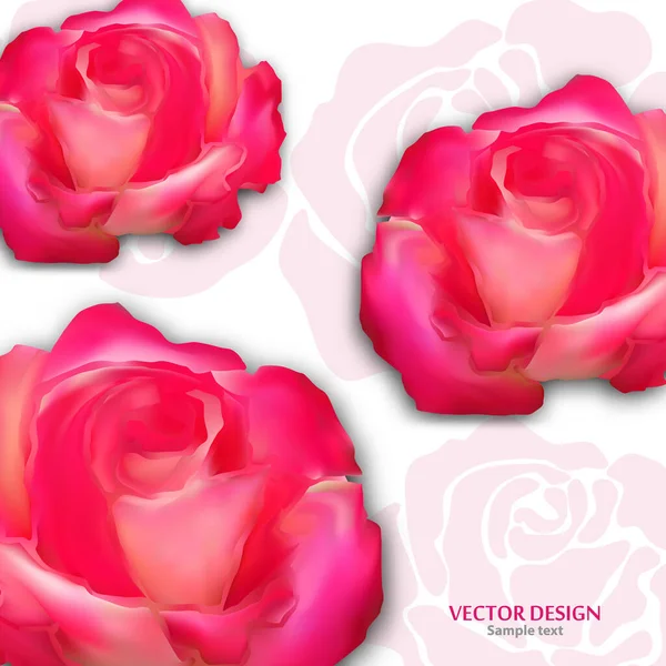 Modern Romantic Bright Abstract Roses White Background Template Your Business — Stock Vector