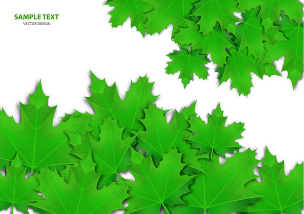 Абстрактный фон из различных ярких листьев клена на белом фоне. Стильный современный дизайн для листовок, плакатов, флаеров, баннеров. Векторная иллюстрация