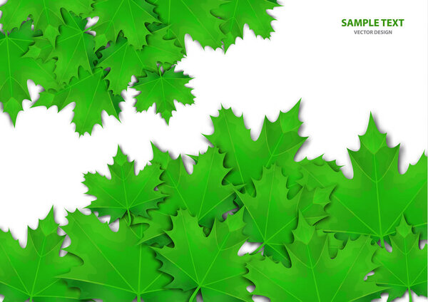 Абстрактный фон из различных ярких листьев клена на белом фоне. Стильный современный дизайн для листовок, плакатов, флаеров, баннеров. Векторная иллюстрация