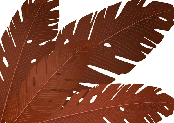 Samenstelling Van Exotische Palmbananenbladeren Een Witte Achtergrond Vector Zomer Illustratie — Stockvector