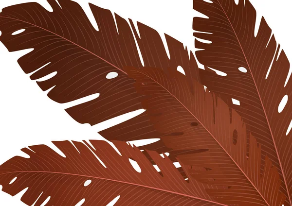 Komposition Aus Exotischen Palmbananasblättern Auf Weißem Hintergrund Vektor Sommer Illustration — Stockvektor