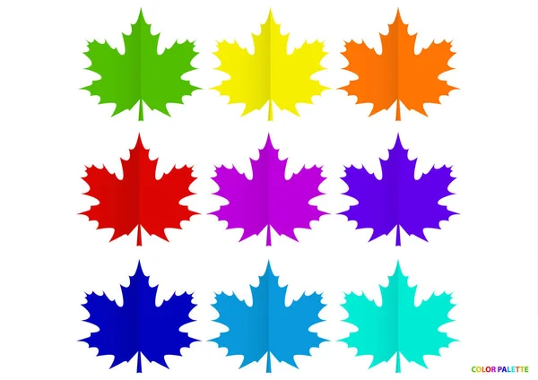 Ensemble Feuilles Érable Multicolores Isolées Sur Fond Blanc Illustration Vectorielle — Image vectorielle