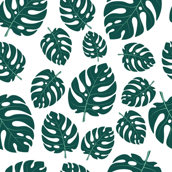 Grandes Hojas Verdes Una Planta Monstera Tropical Sobre Fondo Blanco — Vector de stock