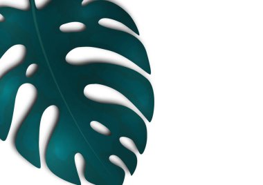 Beyaz arka planda büyük mavi canavar yaprağı. Tasarımın için yaratıcı bir şablon. Vektör illüstrasyonu