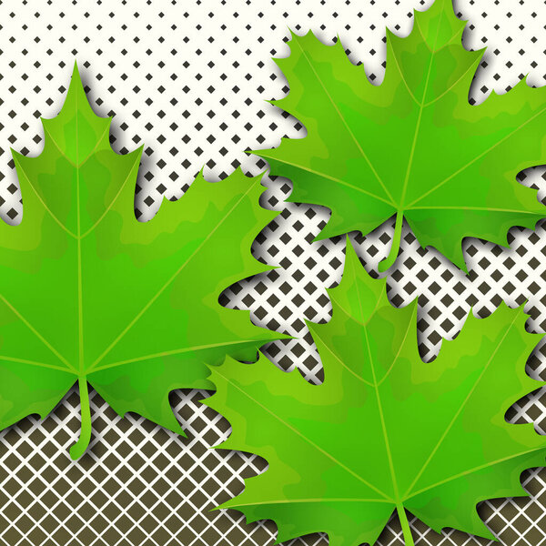 Bright spring green maple leaves on a background of small squares of halftones. Template for banner or advertisement. Vector illustration for your design.