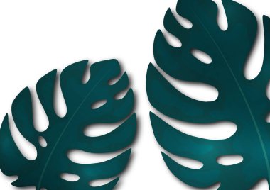 Beyaz arka planda büyük mavi canavar yaprakları. Tasarımın için yaratıcı bir şablon. Vektör illüstrasyonu