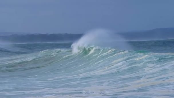 Batı Burnu Güney Afrika Daki Garden Route Victoria Körfezi Nde — Stok video