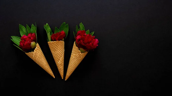 Flores de peonías rojas en conos de gofre —  Fotos de Stock