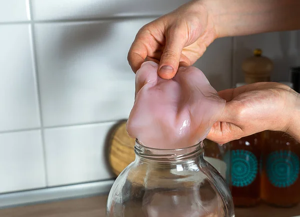 Kombu çayı mantarı, Scoby 'yi cam kavanozda tutan eller.. — Stok fotoğraf