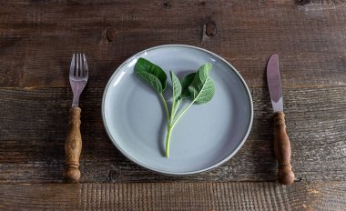 Kırsal çatal bıçak takımı ve eski ahşap üzerine boş tabak.. 