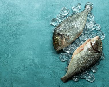 İki taze taze organik dorado ya da buzlu deniz çamı. 