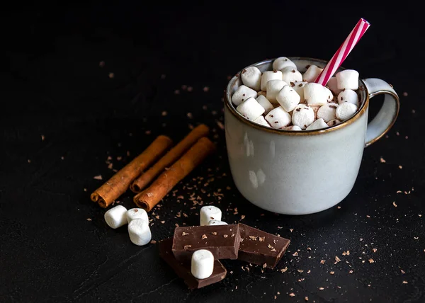 Hausgemachte Heiße Schokolade Oder Kakao Mit Mini Marshmallow Und Zimt — Stockfoto