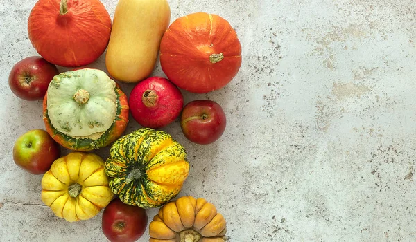 Sonbahar hasadı. Olgun balkabakları ve elmalar. Renkli sonbahar konsepti. Üst görünüm, alanı kopyala