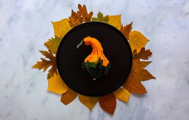 Sonbahar ve Şükran Günü sofrasında düşmüş yapraklar ve dekoratif balkabağı.