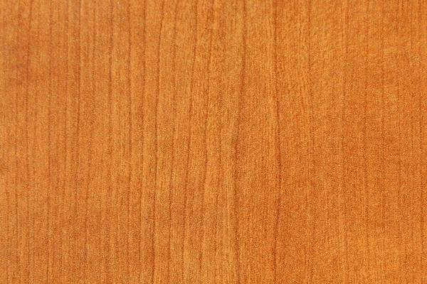 Sample of wood for furniture or for backgrounds
