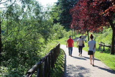 Yazın parkta aile gezintisi - rahatlama ve doğa