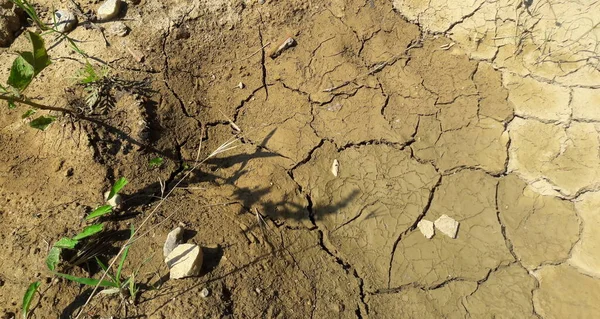 Занадто Посушливий Грунт Посуха Ризик Опустелювання — стокове фото