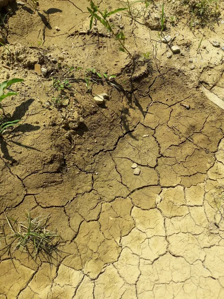 Terreno Troppo Arido Siccità Rischio Desertificazione — Foto Stock