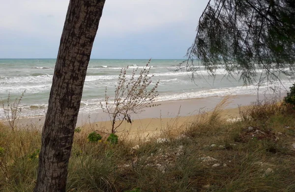 夏日的汹涌大海 假期和放松 — 图库照片