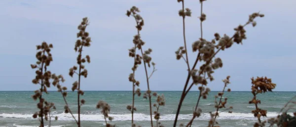 夏日的汹涌大海 假期和放松 — 图库照片