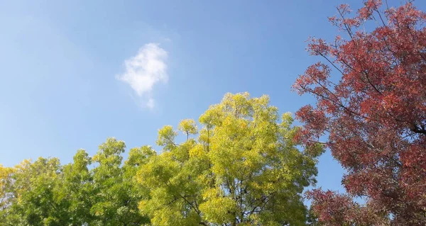 Natural Countryside Landscape Spring Day — Stock Photo, Image