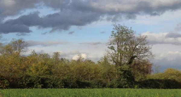 Přírodní Krajina Zamračený Den Podzim — Stock fotografie