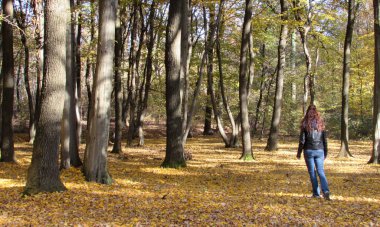 Yalnız bir kadın sonbaharda ağaçlarla kaplı caddede yürüyor.