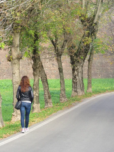 一个寂寞的女人沿着一条林荫大道漫步在大街上 — 图库照片