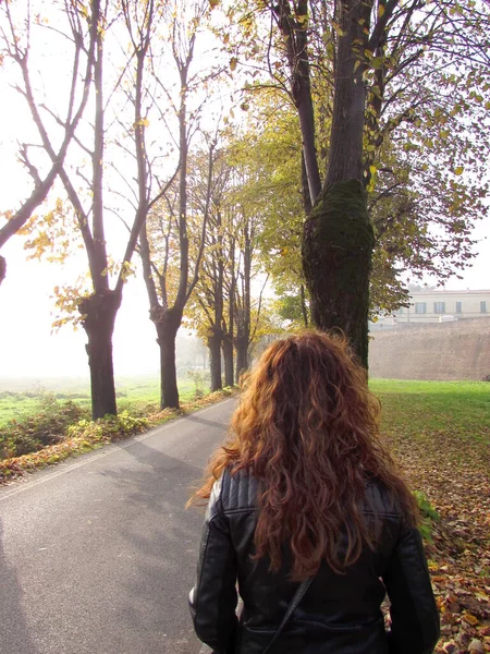 Одинокая Женщина Прогуливающаяся Улице Вдоль Выложенной Деревьями Аллеи Осенью — стоковое фото