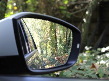 Sonbaharda arabayla seyahat eden turist ya da gezgin