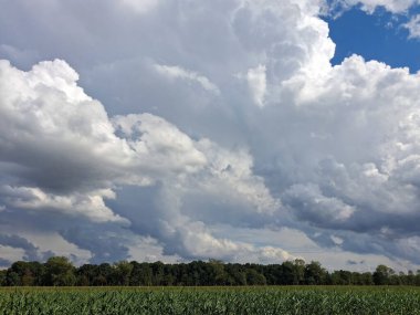 Blue sky and white clouds in autumn