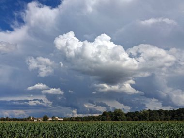 Blue sky and white clouds in autumn