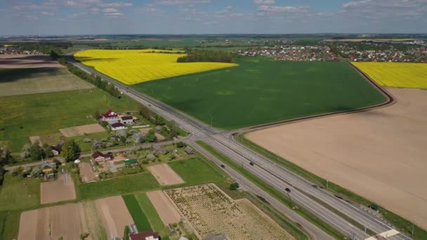 黄色の菜の花畑と村のトップビュー ベラルーシの菜種畑村は菜種の畑です — ストック動画