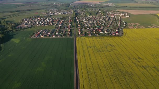 Blick von oben auf das gelbe Rapsfeld und das Dorf. Ein gesätes Rapsfeld in Weißrussland. Das Dorf ist ein Rapsfeld — Stockvideo