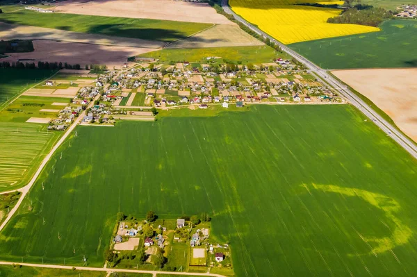 Зверху Видніється Зелене Поле Маленьке Село Білорусі Сільськогосподарські Поля Віллаго — стокове фото