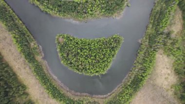 Doğu Avrupa 'da bir ormanın en üst manzarası. Beyaz Rusya' nın nehirleri. Belarus 'taki orman nehri.