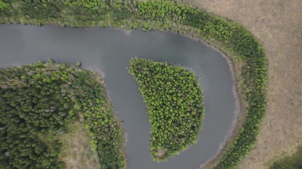 Bovenaanzicht Van Een Rivier Een Bos Oost Europa Rivieren Van — Stockvideo