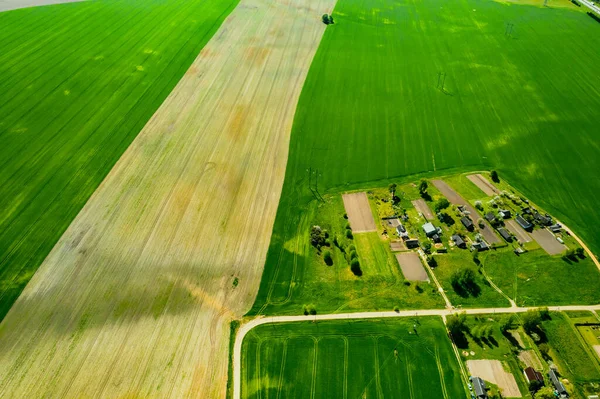 Vista Superior Campo Verde Sembrado Pequeño Pueblo Bielorrusia Campos Agrícolas — Foto de Stock