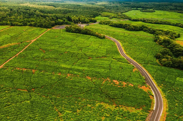 Vista Aérea Desde Arriba Una Carretera Que Pasa Por Plantaciones — Foto de Stock