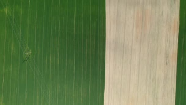 Vista superior de um campo verde e cinza semeado em Belarus.Agriculture em Belarus.Texture . — Vídeo de Stock