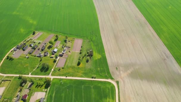 Blick von oben auf ein gesätes grünes Feld und ein kleines Dorf in Weißrussland. Landwirtschaftliche Felder im Dorf. Frühjahrsaussaat in einem kleinen Dorf — Stockvideo