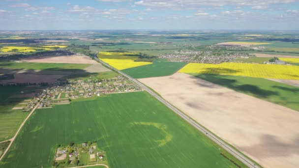 Widok na żółte pole rzepaku i wioskę. Zasiane pole rzepaku na Białorusi.Wioska jest polem rzepaku — Wideo stockowe
