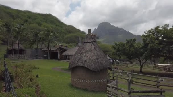 Kasela Park Mauritius, вид сверху — стоковое видео