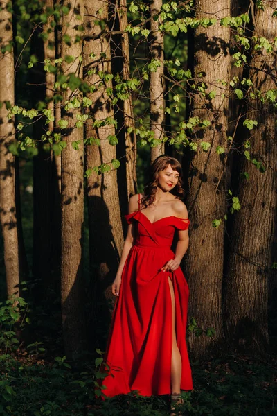 一个年轻美丽的女孩的画像 她有着一头棕色的长发 穿着红色的长裙 环绕着盛开的树木 季节是春天 — 图库照片