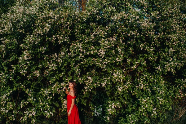 長い茶色の髪をした若い美しい少女の肖像画 白いライラックの巨大な開花ブッシュの背景に長い赤いドレス — ストック写真