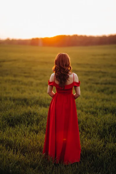 Uma Menina Bonita Primavera Vestido Vermelho Está Andando Campo Pôr — Fotografia de Stock